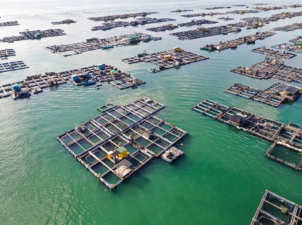 Fisheries & Offshore Aquaculture