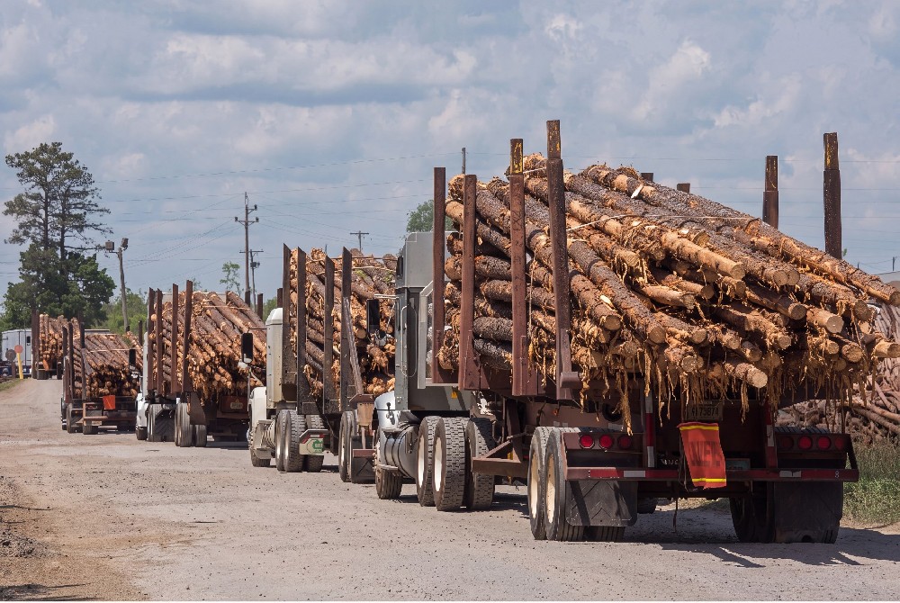 Forestry Skidding and Choker Chain Operations